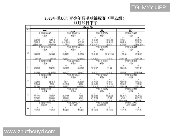 重庆羽毛球队实力解析:聚焦羽毛球运动的崛起与发展 重庆羽毛球队实力解析:聚焦羽毛球运动的崛起与发展