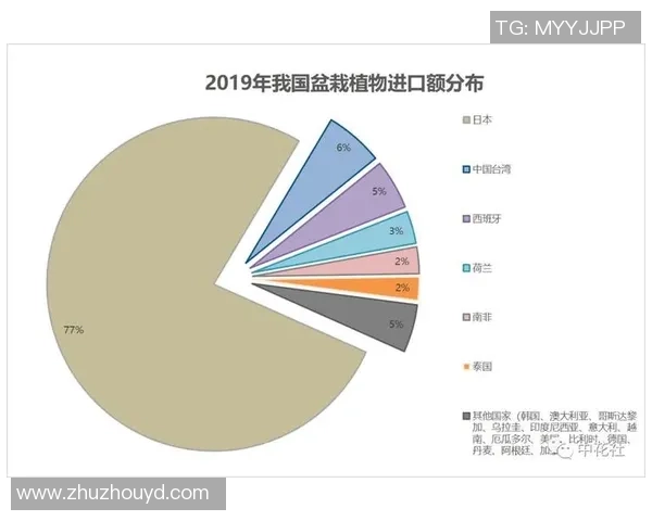 独家分析：武汉排球队的力量对比