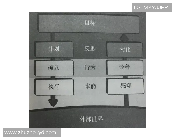 独家分析：BLG的心理素质对比
