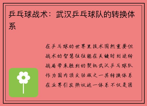 乒乓球战术：武汉乒乓球队的转换体系