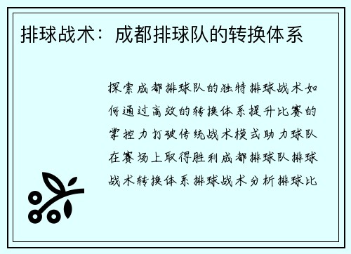 排球战术：成都排球队的转换体系